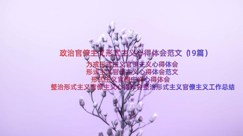 政治官僚主义形式主义心得体会范文（19篇）