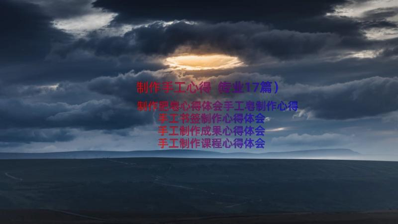 制作手工心得（专业17篇）