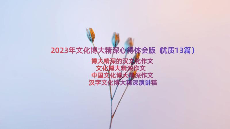 2023年文化博大精深心得体会版（优质13篇）