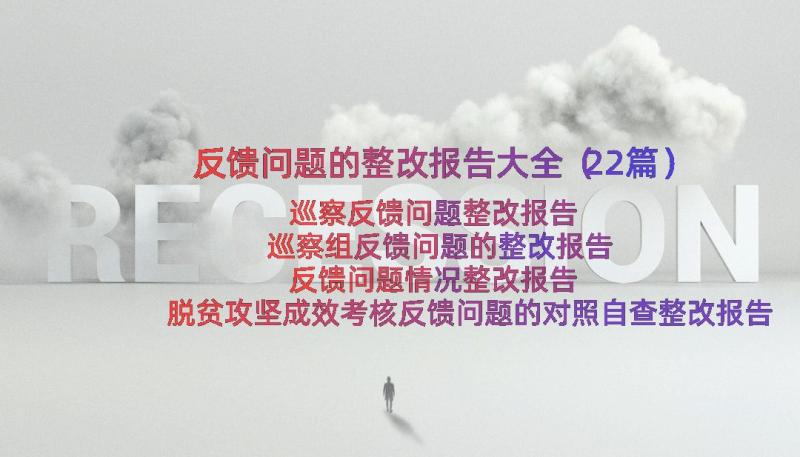 反馈问题的整改报告大全（22篇）