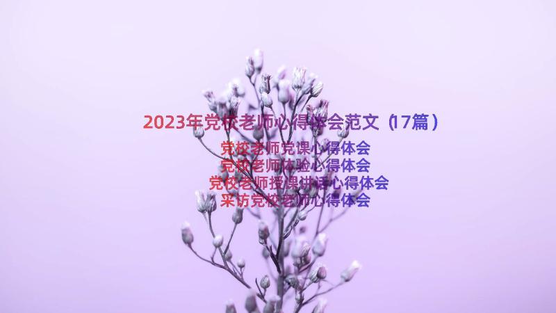 2023年党校老师心得体会范文（17篇）