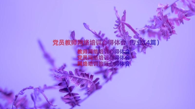 党员教师网络培训心得体会（专业14篇）