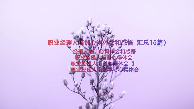 职业经理人培训心得体会和感悟（汇总16篇）