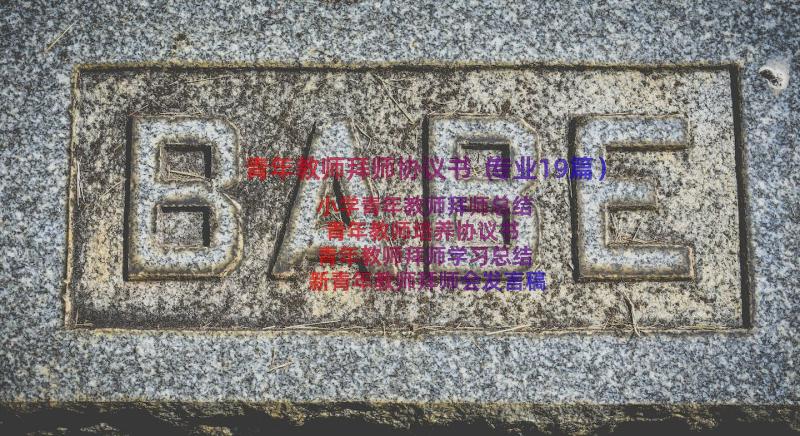 青年教师拜师协议书（专业19篇）