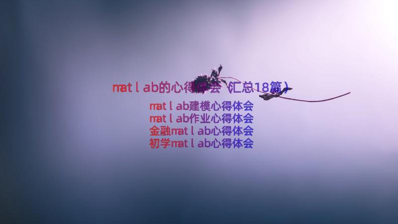 matlab的心得体会（汇总18篇）