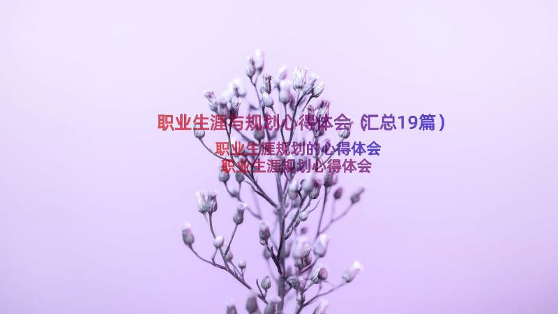 职业生涯与规划心得体会（汇总19篇）