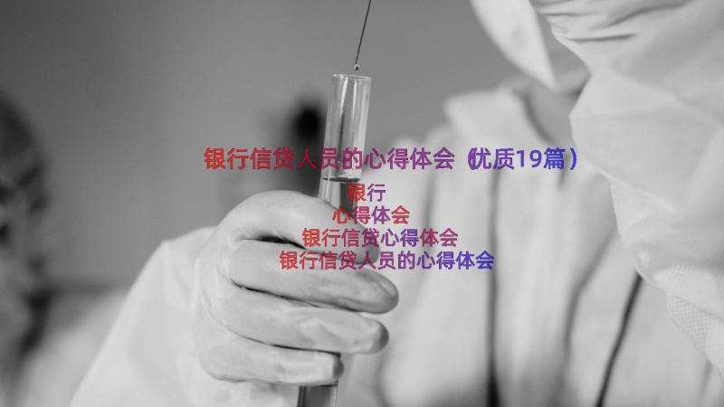 银行信贷人员的心得体会（优质19篇）