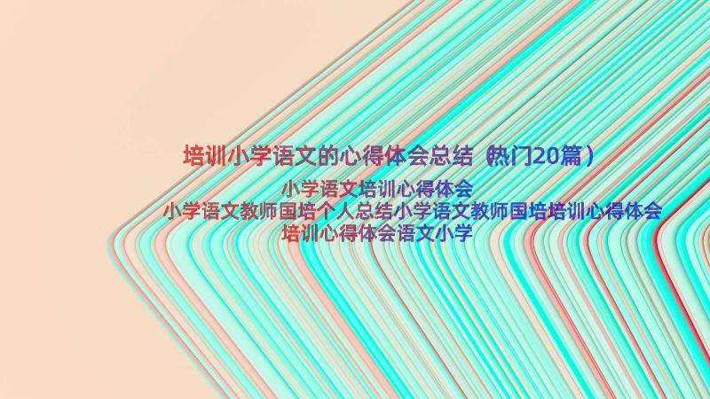 培训小学语文的心得体会总结（热门20篇）