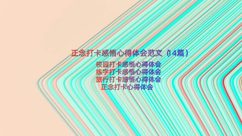 正念打卡感悟心得体会范文（14篇）