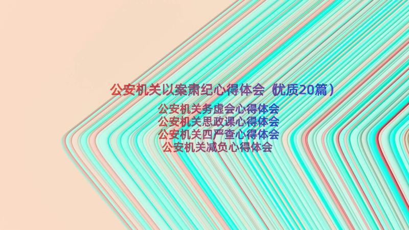 公安机关以案肃纪心得体会（优质20篇）