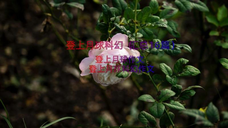 登上月球科幻（汇总16篇）