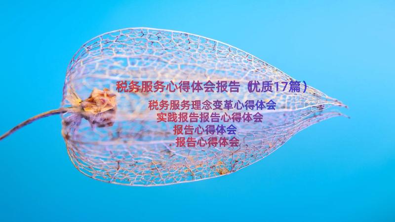 税务服务心得体会报告（优质17篇）