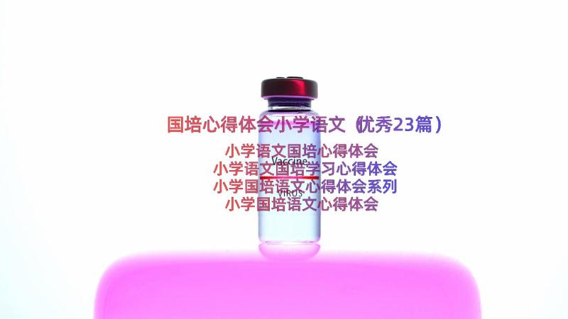 国培心得体会小学语文（优秀23篇）