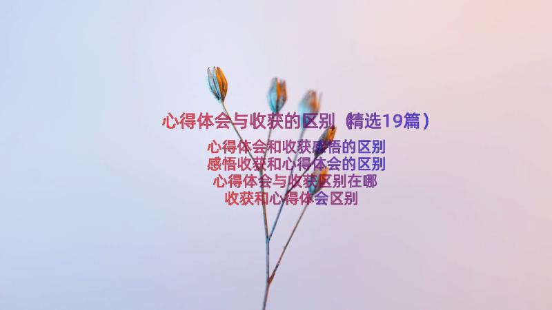 心得体会与收获的区别（精选19篇）