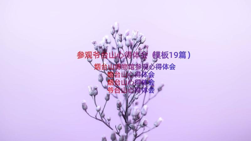 参观爷台山心得体会（模板19篇）