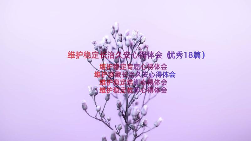 维护稳定长治久安心得体会（优秀18篇）