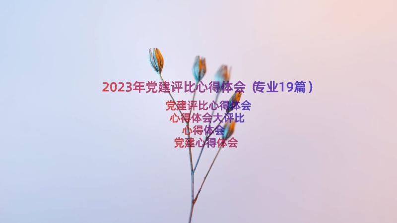 2023年党建评比心得体会（专业19篇）