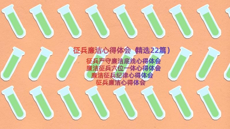 征兵廉洁心得体会（精选22篇）