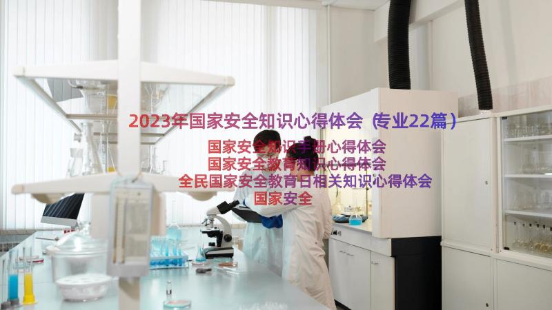 2023年国家安全知识心得体会（专业22篇）