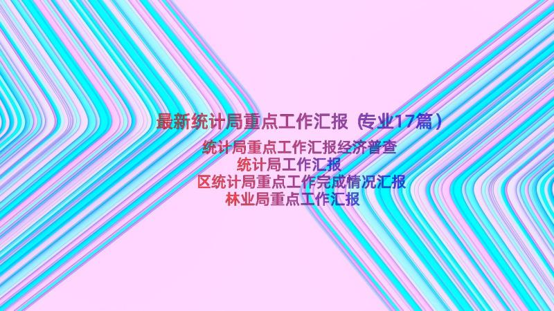 最新统计局重点工作汇报（专业17篇）