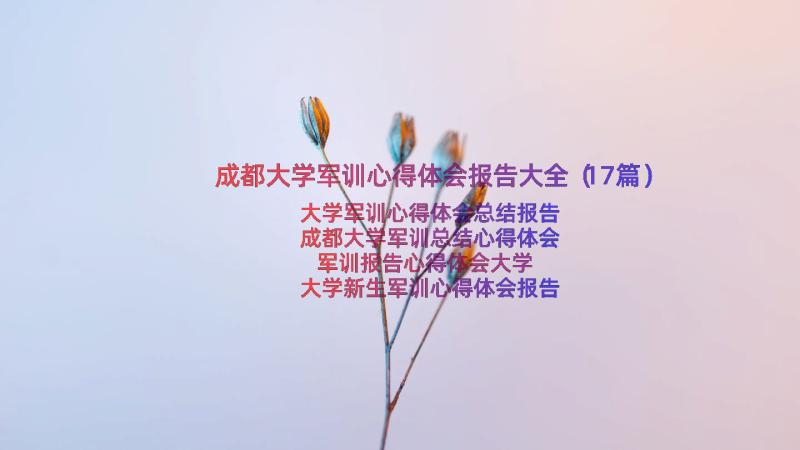 成都大学军训心得体会报告大全（17篇）