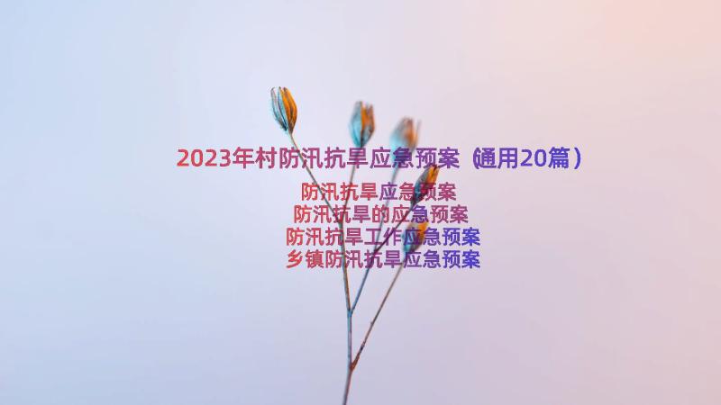 2023年村防汛抗旱应急预案（通用20篇）