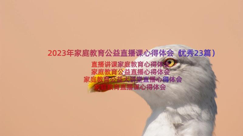 2023年家庭教育公益直播课心得体会（优秀23篇）