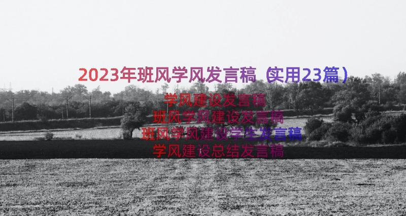 2023年班风学风发言稿（实用23篇）