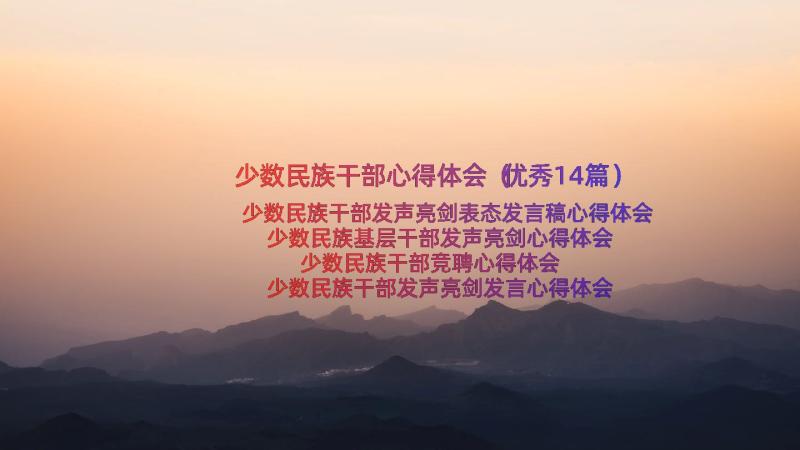 少数民族干部心得体会（优秀14篇）