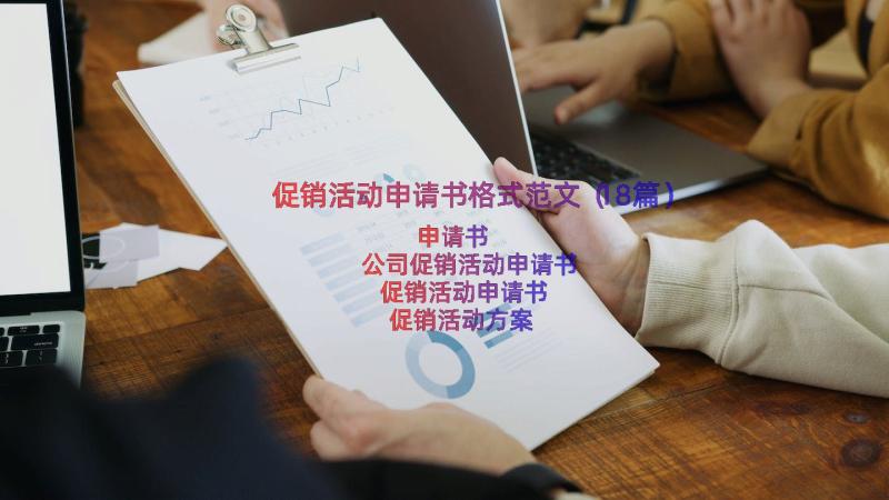 促销活动申请书格式范文（18篇）