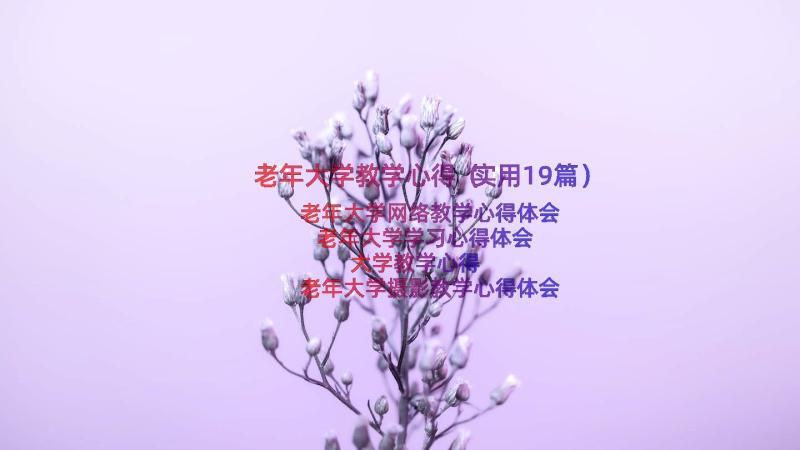 老年大学教学心得（实用19篇）