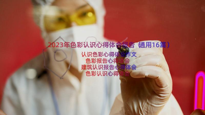 2023年色彩认识心得体会报告（通用16篇）