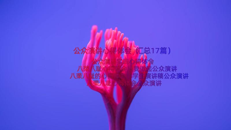 公众演讲心得体会（汇总17篇）