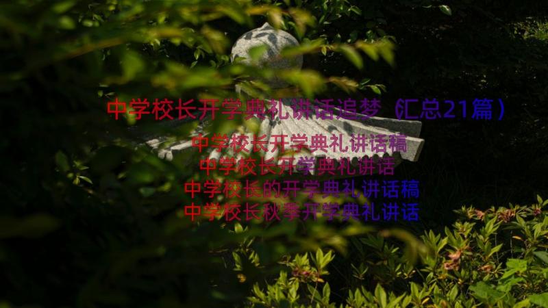 中学校长开学典礼讲话追梦（汇总21篇）