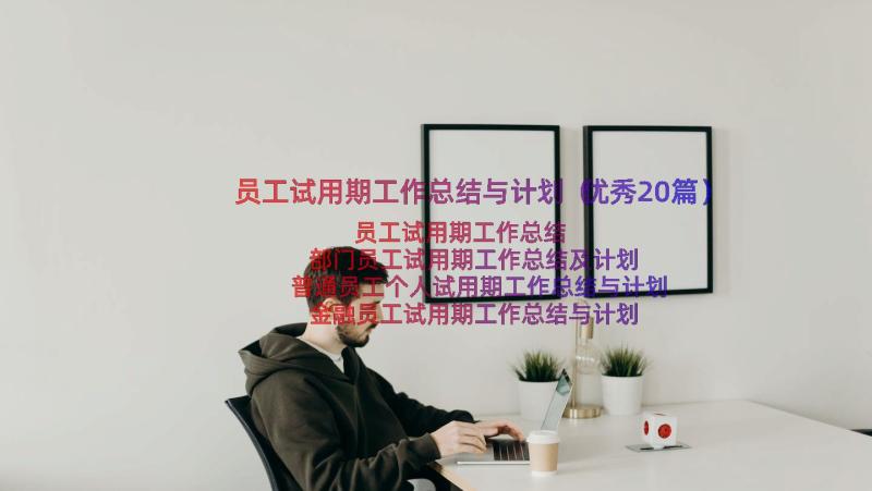 员工试用期工作总结与计划（优秀20篇）