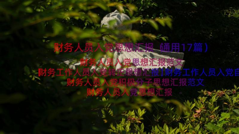 财务人员入党思想汇报（通用17篇）