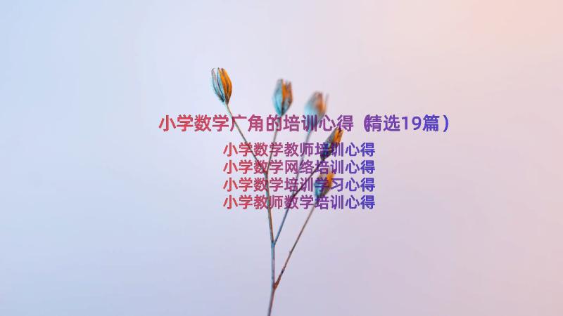 小学数学广角的培训心得（精选19篇）