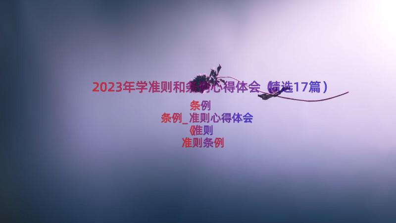 2023年学准则和条例心得体会（精选17篇）