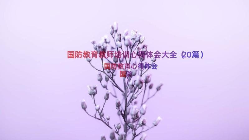 国防教育教师培训心得体会大全（20篇）