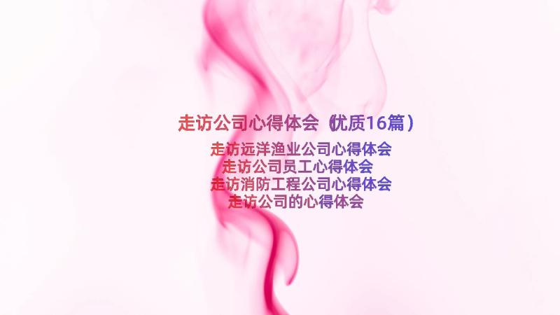 走访公司心得体会（优质16篇）