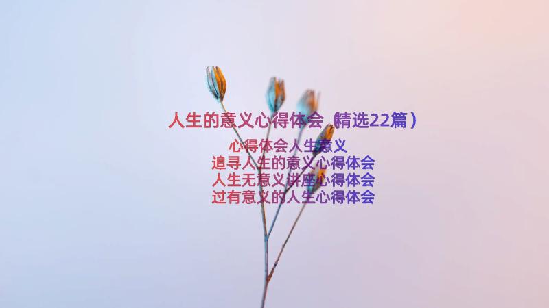 人生的意义心得体会（精选22篇）