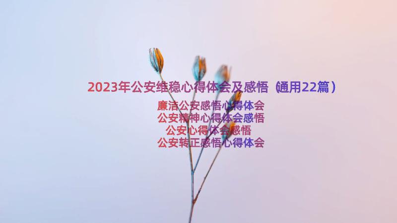 2023年公安维稳心得体会及感悟（通用22篇）