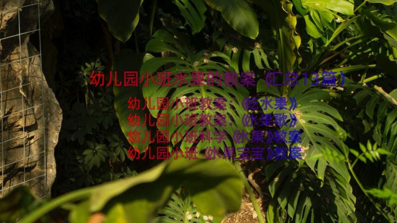 幼儿园小班水果的教案（汇总13篇）