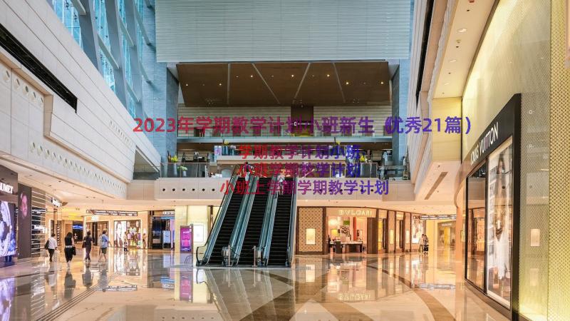 2023年学期教学计划小班新生（优秀21篇）