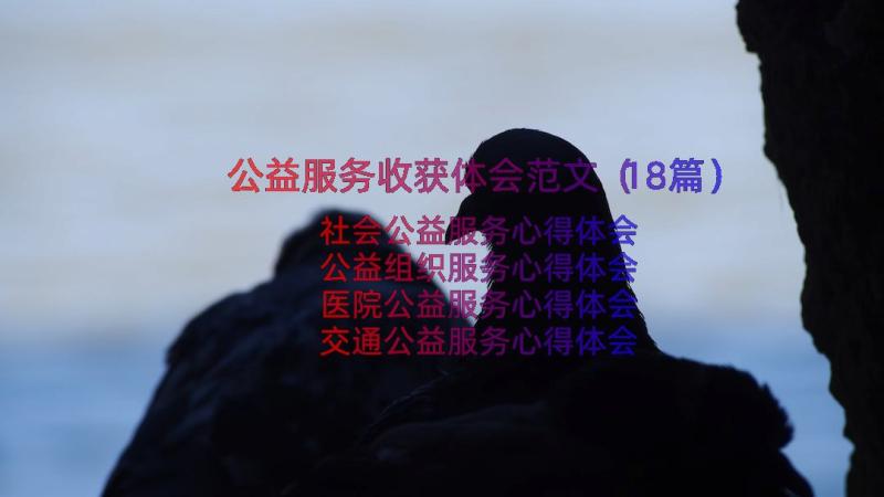 公益服务收获体会范文（18篇）