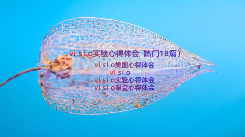 visio实验心得体会（热门18篇）