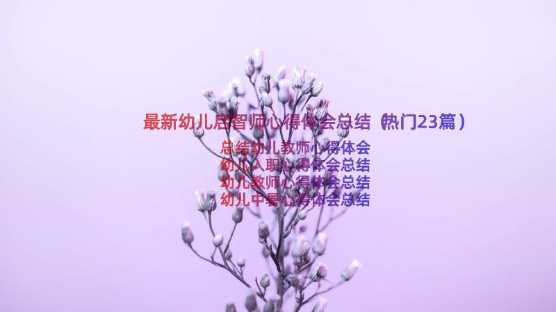 最新幼儿启智师心得体会总结（热门23篇）