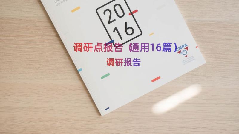 调研点报告（通用16篇）