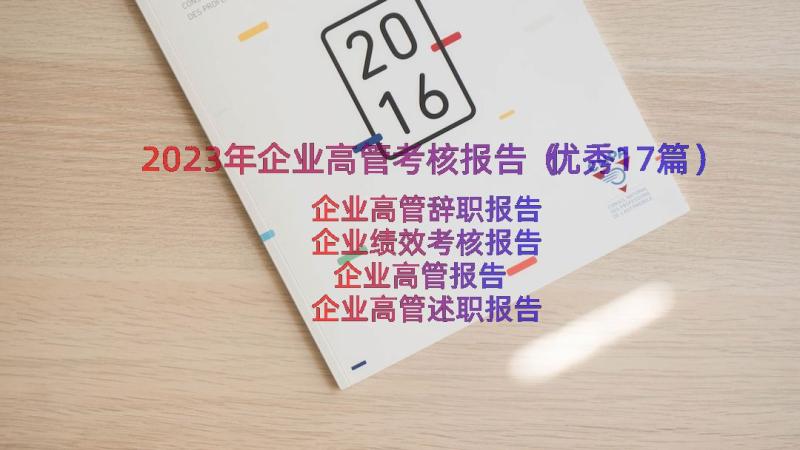 2023年企业高管考核报告（优秀17篇）