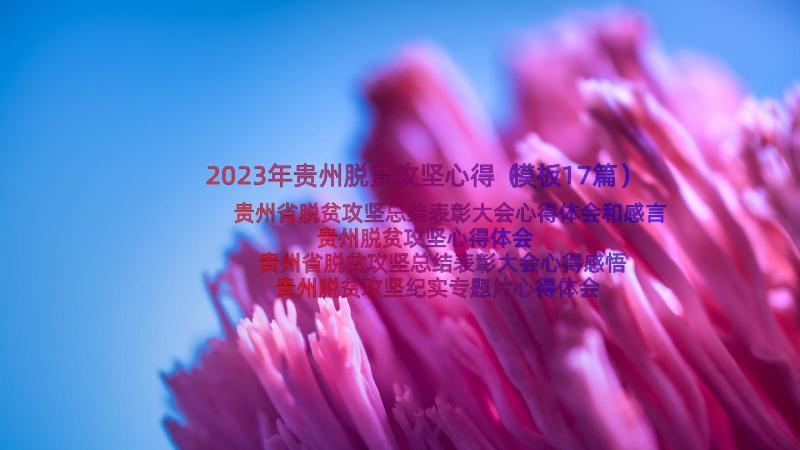 2023年贵州脱贫攻坚心得（模板17篇）